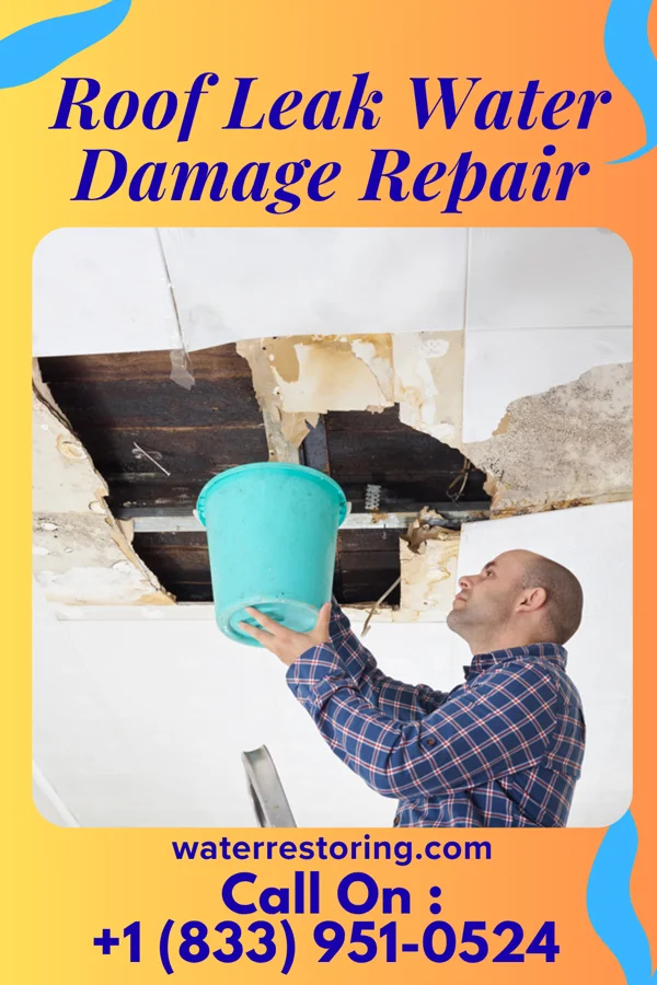 Roof Leak Water Damage Repair in Middletown, KY