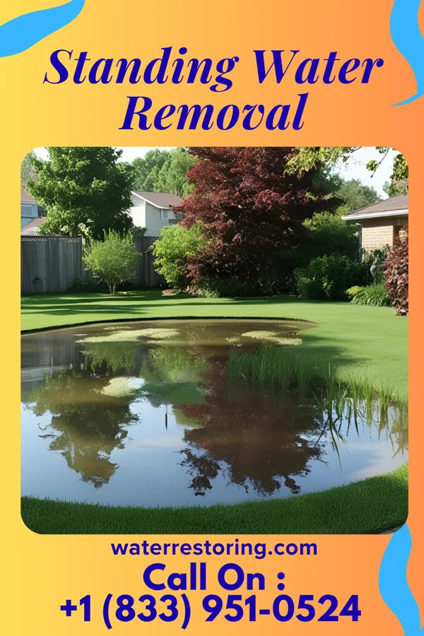 Standing Water Removal in Middletown, KY